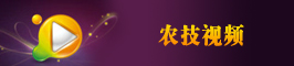 ũ����Ƶ